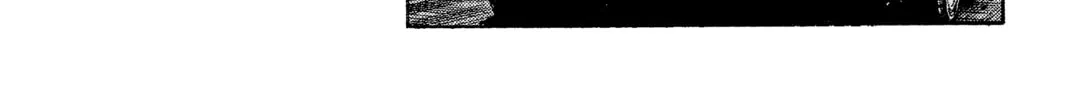 Read Initial D chapter 101 image 37 on Lezhin