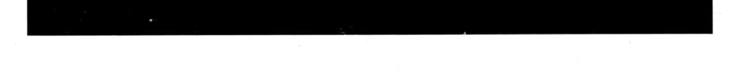 Read Initial D chapter 134 image 15 on Lezhin