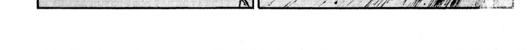 Read Initial D chapter 149 image 7 on Lezhin