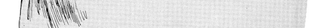Read Initial D chapter 293 image 1 on Lezhin