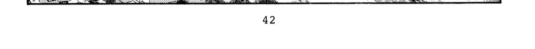 Read Initial D chapter 359 image 15 on Lezhin