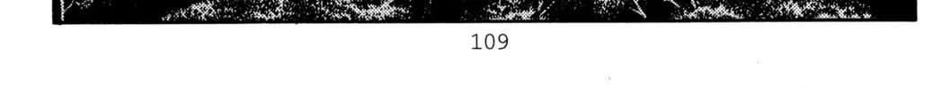 Read Initial D chapter 413 image 15 on Lezhin