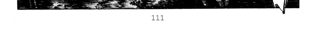 Read Initial D chapter 413 image 19 on Lezhin