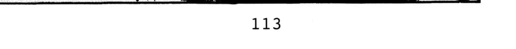 Read Initial D chapter 71 image 1 on Lezhin