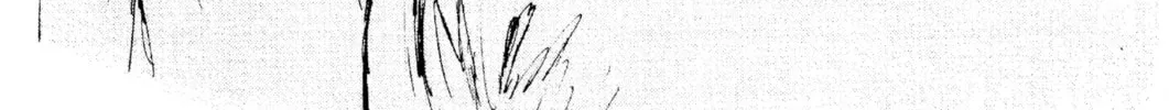 Read Initial D chapter 83 image 1 on Lezhin