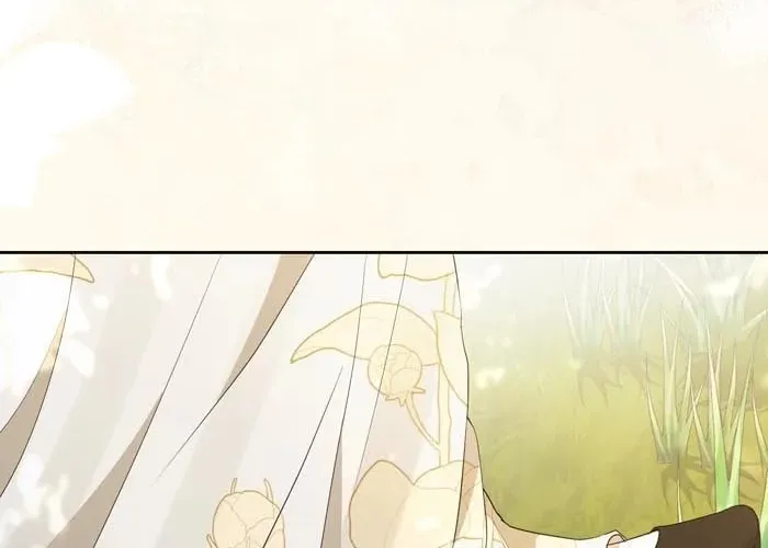 Read Insanely Radiant chapter 11 image 13 on Lezhin
