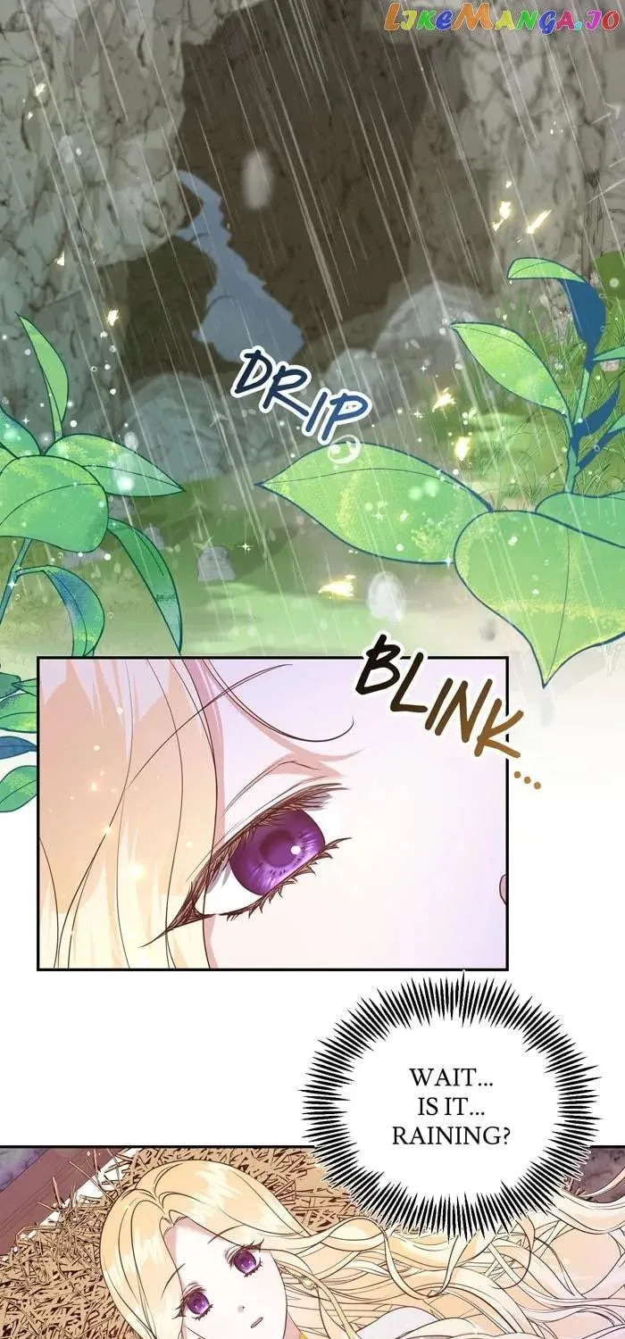 Read Insanely Radiant chapter 12 image 47 on Lezhin