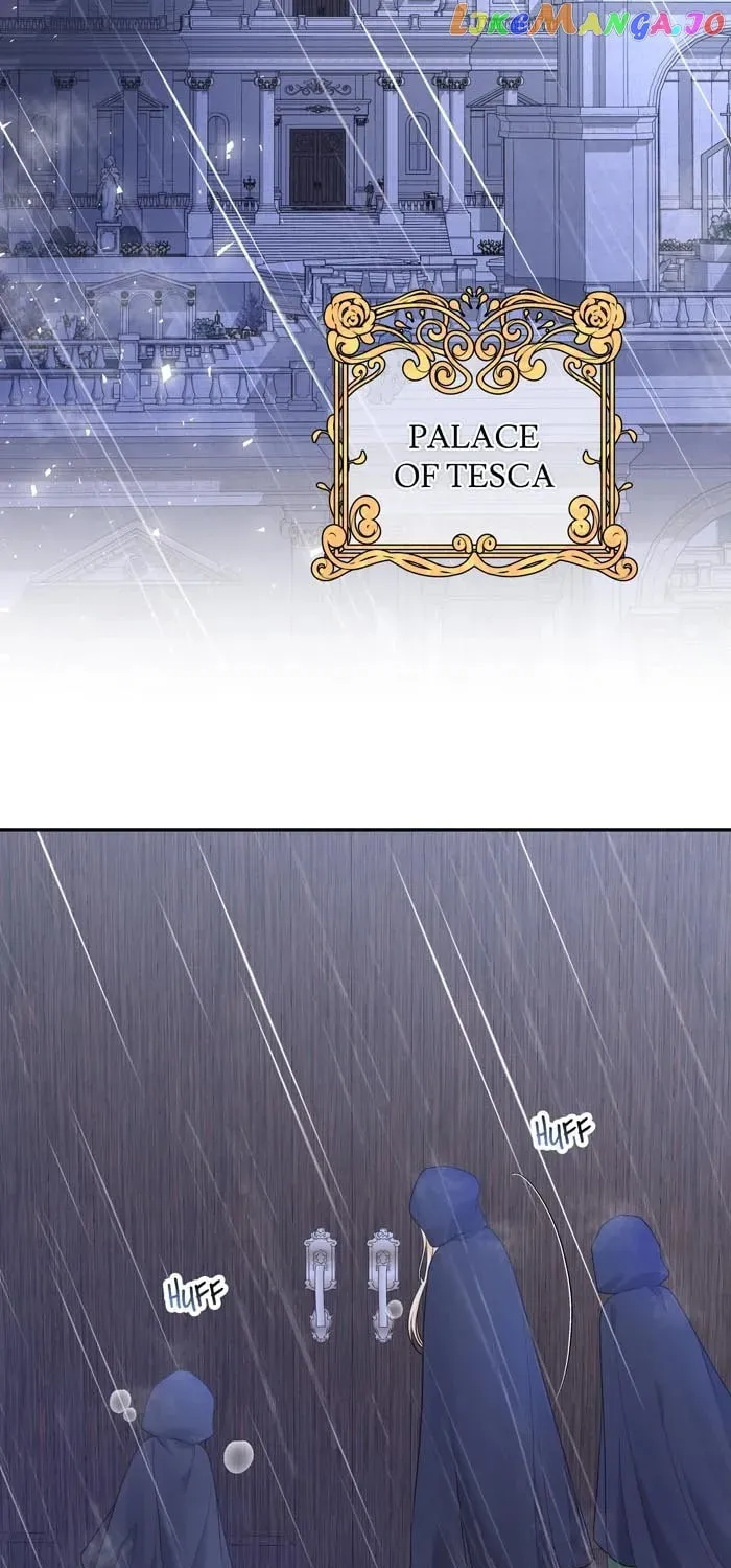 Read Insanely Radiant chapter 13 image 31 on Lezhin