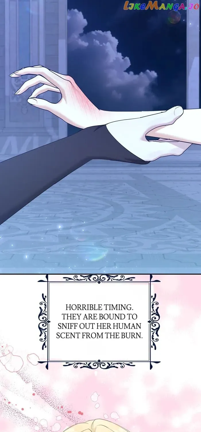 Read Insanely Radiant chapter 15 image 54 on Lezhin