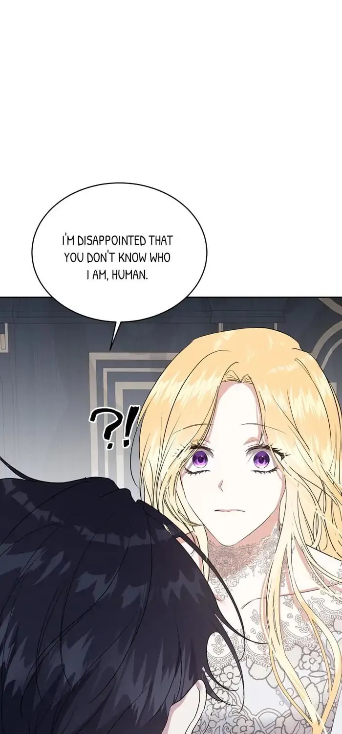 Read Insanely Radiant chapter 3 image 41 on Lezhin