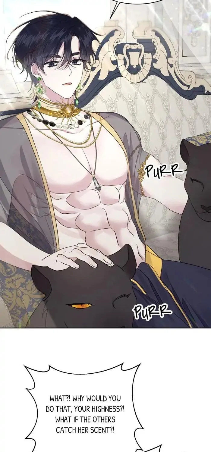 Read Insanely Radiant chapter 3 image 90 on Lezhin