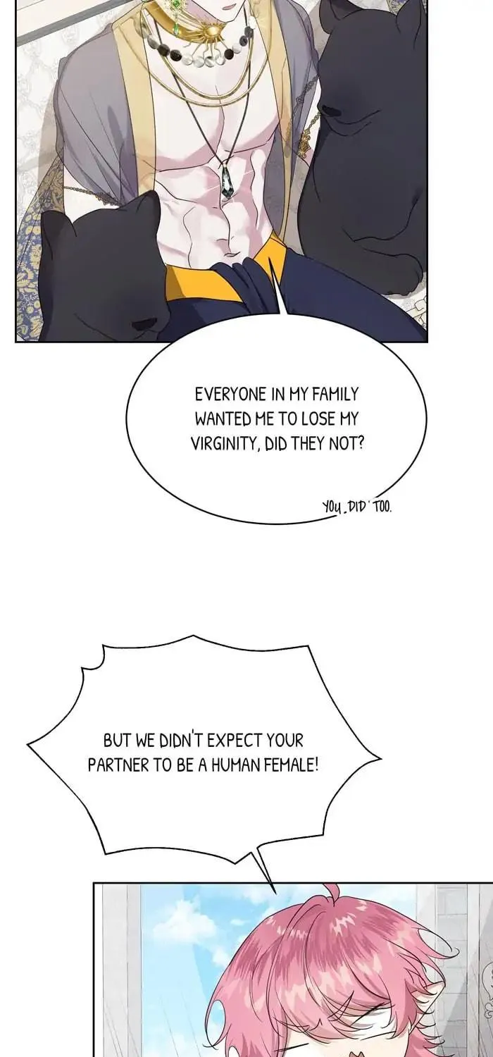 Read Insanely Radiant chapter 4 image 17 on Lezhin