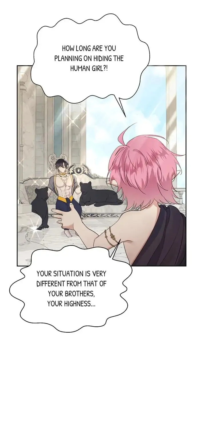 Read Insanely Radiant chapter 4 image 6 on Lezhin