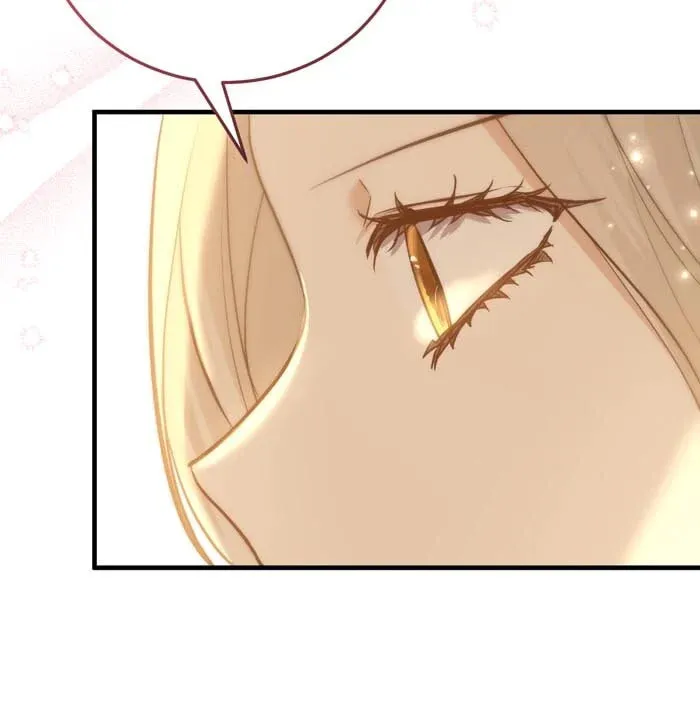Read Insanely Radiant chapter 48 image 78 on Lezhin