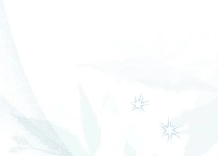 Read Insanely Radiant chapter 56 image 80 on Lezhin