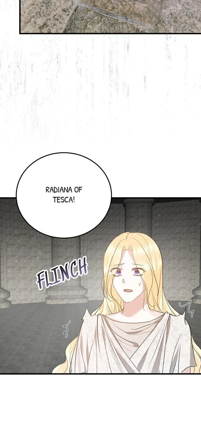 Insanely Radiant Chapter 67 page 73 - 