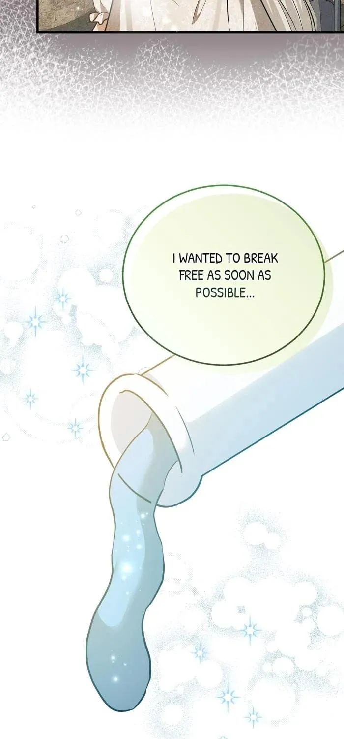 Insanely Radiant Chapter 70 page 29 - 