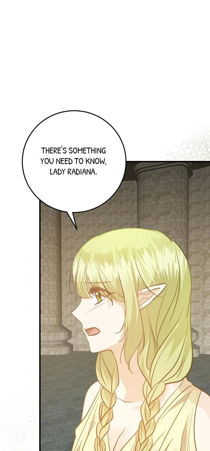 Insanely Radiant Chapter 70 page 40 - 