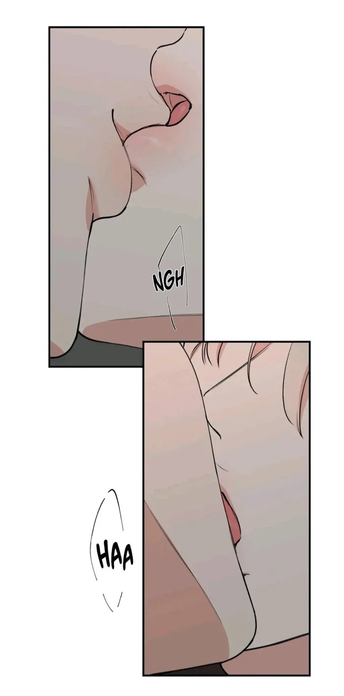 Read Insecret chapter 53 image 19 on Lezhin