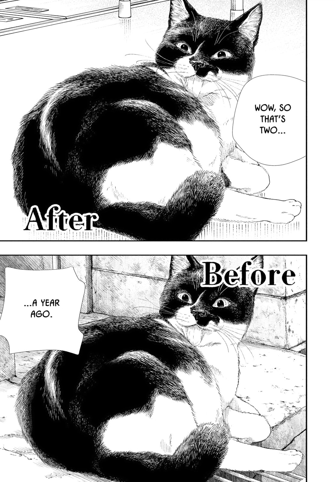 Read Insomniacs After School chapter 92 image 2 on Lezhin