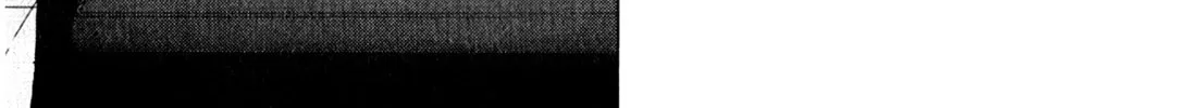 Read Inspector Kurokochi chapter 11 image 36 on Lezhin