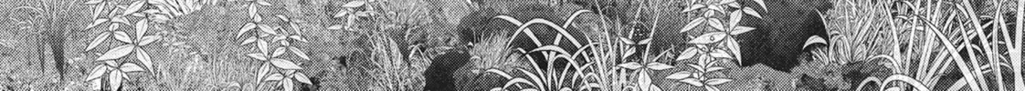 Read Into the Deepest, Most Unknowable Dungeon chapter 22 image 25 on Lezhin