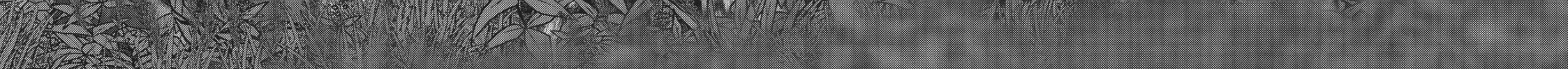 Read Into the Deepest, Most Unknowable Dungeon chapter 3 image 63 on Lezhin
