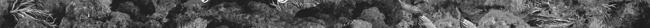 Read Into the Deepest, Most Unknowable Dungeon chapter 31 image 17 on Lezhin