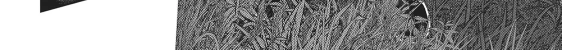 Read Into the Deepest, Most Unknowable Dungeon chapter 37 image 13 on Lezhin