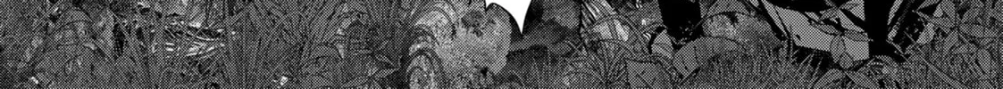 Read Into the Deepest, Most Unknowable Dungeon chapter 42 image 63 on Lezhin