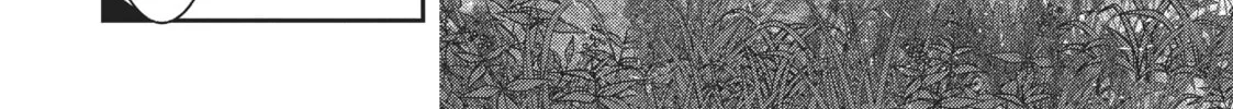 Read Into the Deepest, Most Unknowable Dungeon chapter 7 image 45 on Lezhin
