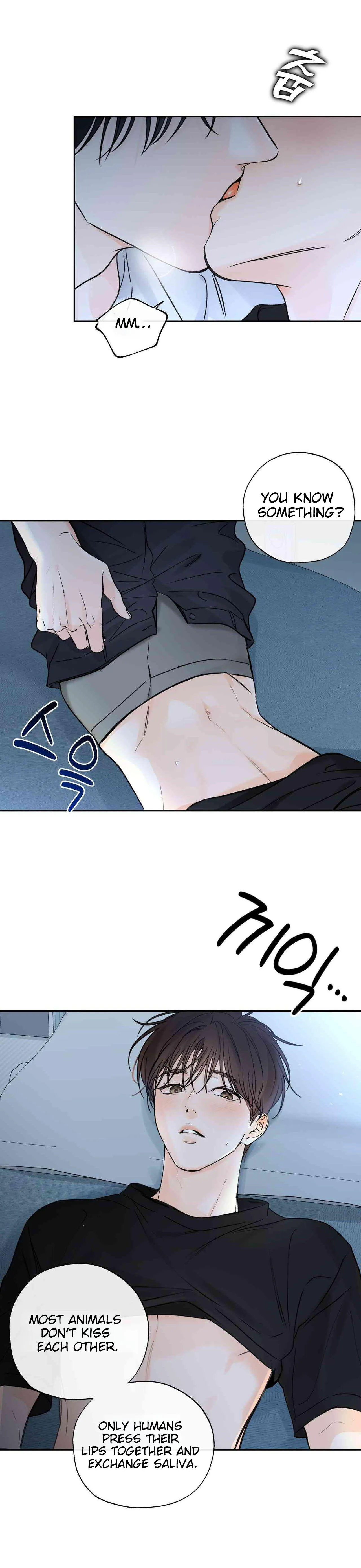 Into The Horizon Chapter 41 page 12 - 