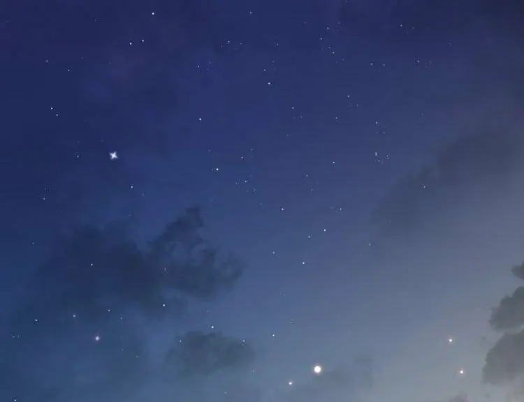 Read Intoxicated Love chapter 4 image 31 on Lezhin