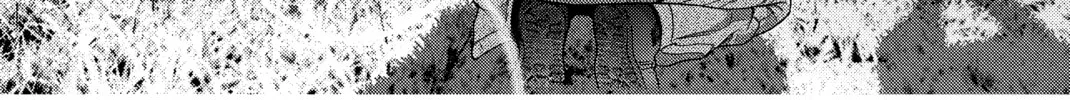 Read Inuyashiki chapter 1 image 91 on Lezhin