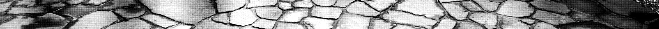 Read Inuyashiki chapter 25 image 9 on Lezhin