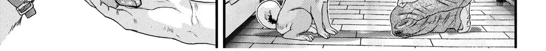 Read Inuyashiki chapter 3 image 7 on Lezhin