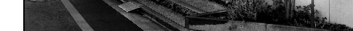Read Inuyashiki chapter 30 image 25 on Lezhin