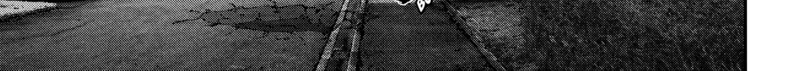 Read Inuyashiki chapter 37 image 31 on Lezhin