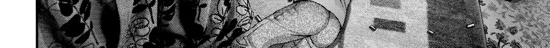 Read Inuyashiki chapter 45 image 15 on Lezhin