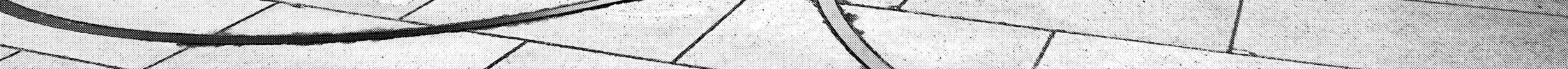 Read Inuyashiki chapter 49 image 19 on Lezhin