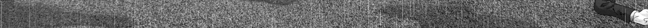 Read Inuyashiki chapter 51 image 31 on Lezhin