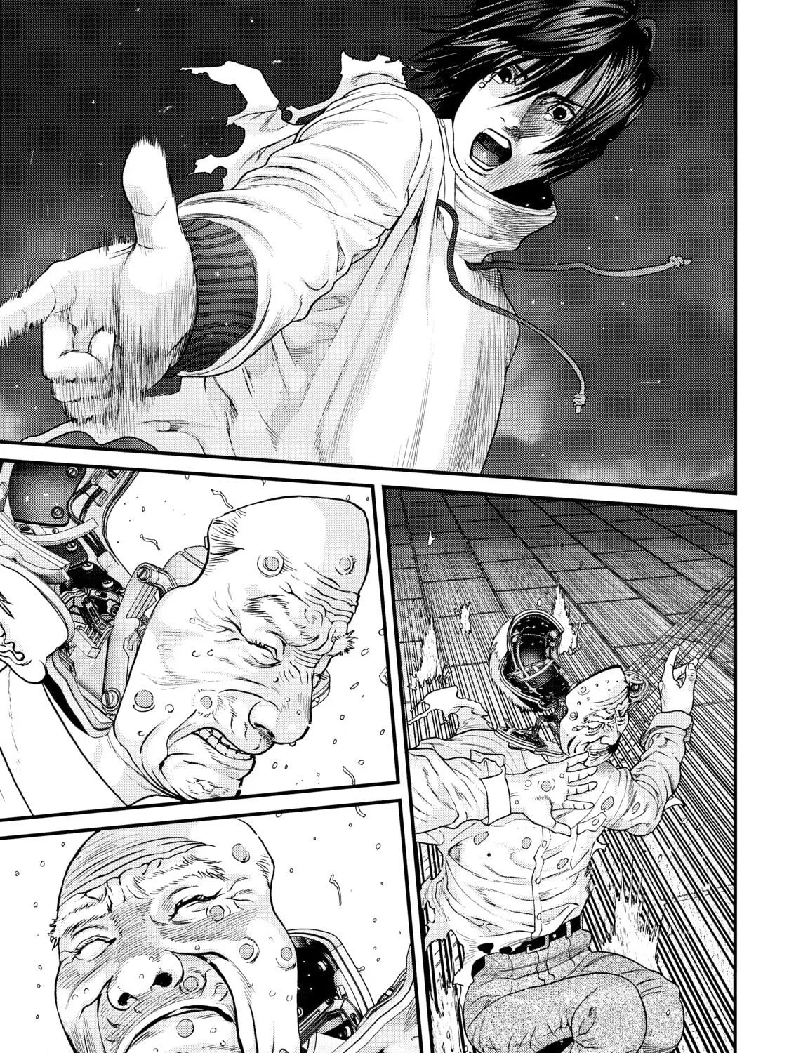 Read Inuyashiki chapter 62 image 10 on Lezhin