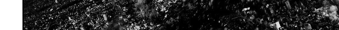 Read Inuyashiki chapter 65 image 19 on Lezhin
