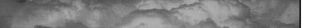 Read Inuyashiki chapter 66 image 31 on Lezhin