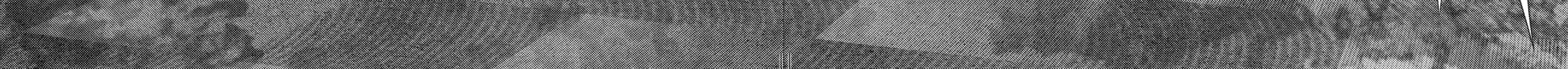 Read Inuyashiki chapter 68 image 3 on Lezhin