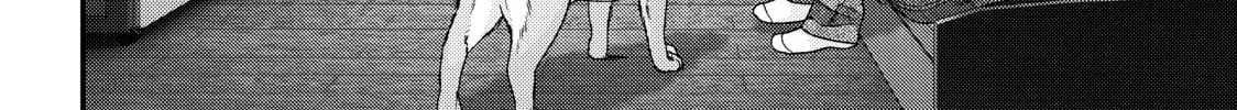 Read Inuyashiki chapter 73 image 13 on Lezhin