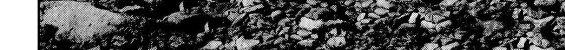 Read Inuyashiki chapter 82 image 17 on Lezhin