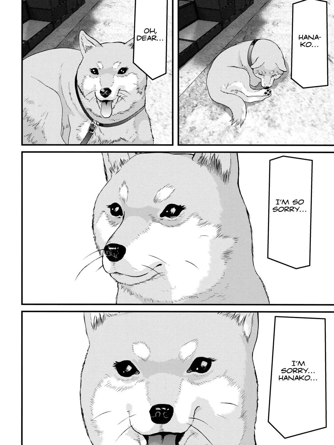 Read Inuyashiki chapter 84 image 16 on Lezhin