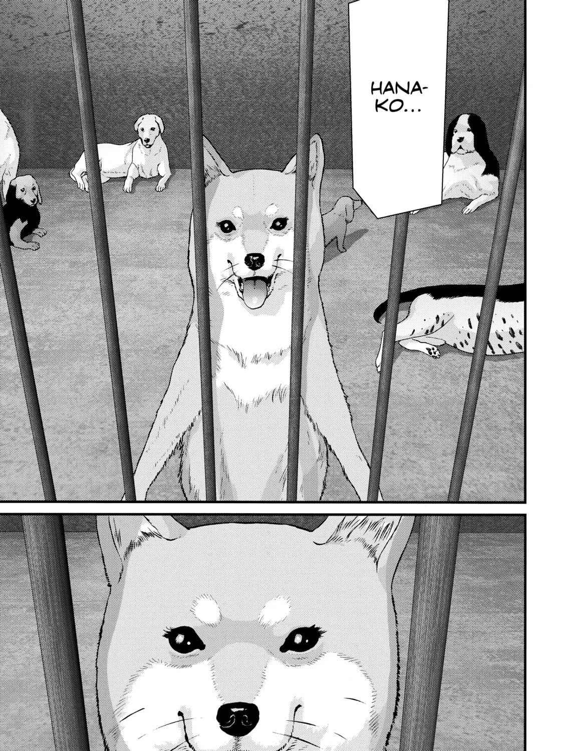 Read Inuyashiki chapter 84 image 18 on Lezhin