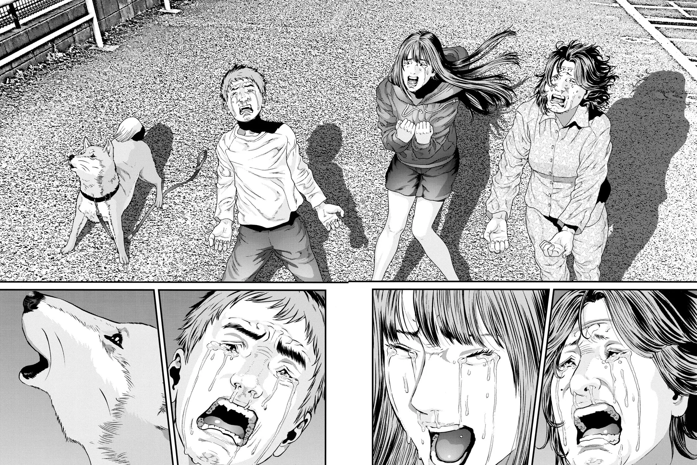 Read Inuyashiki chapter 85 image 8 on Lezhin